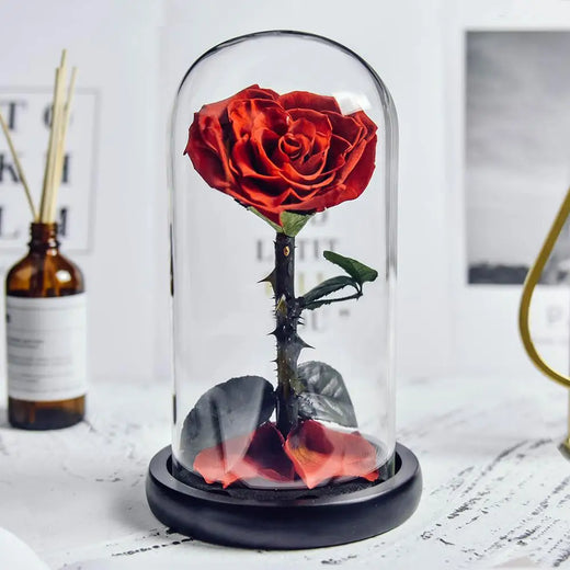 Eternal Rose in Glass Dome